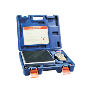 Digital electronic scales